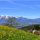 Natur 300417_13.JPG