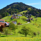 Natur 300417_14.JPG
