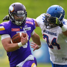 vikings-silverhawks.jpg