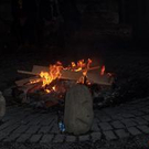 283264.jpg