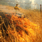 Waldbrände in Kalifornien wüten weiter