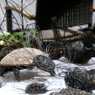 DSC00067.JPG