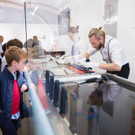 Shop 3 Zuckerlwerkstatt Salzburg.jpg