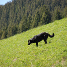 DSC_0722.jpg
