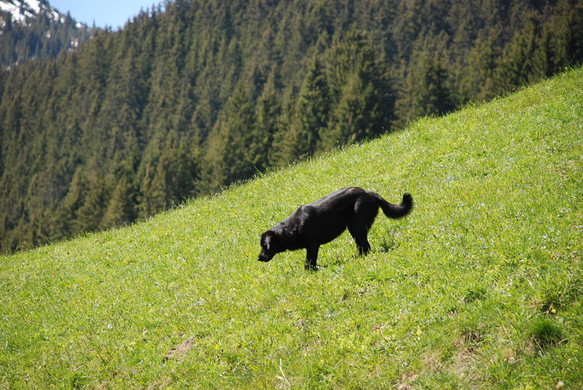 DSC_0722.jpg