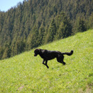 DSC_0726.jpg