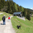 DSC_0732.jpg
