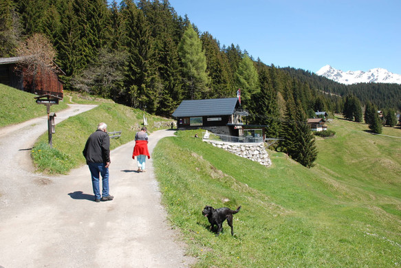 DSC_0732.jpg