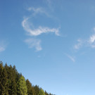 DSC_0733.jpg