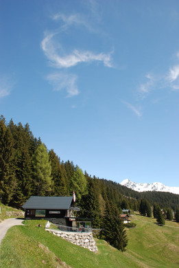 DSC_0733.jpg