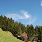DSC_0734.jpg