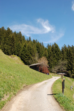 DSC_0734.jpg