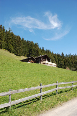 DSC_0737.jpg