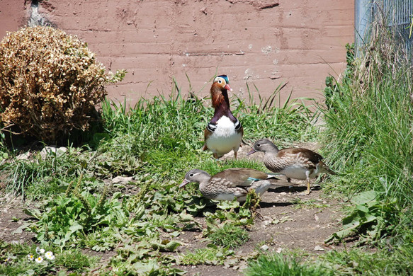 DSC_0740.jpg