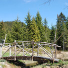 DSC_0850.jpg