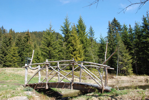 DSC_0850.jpg