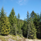 DSC_0852.jpg