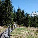 DSC_0858.jpg