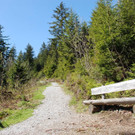 DSC_0869.jpg