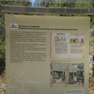 DSC_0872.jpg