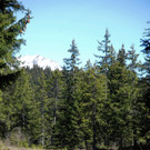 DSC_0876.jpg