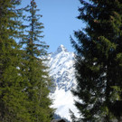 DSC_0879.jpg