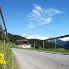 DSC_0900.jpg