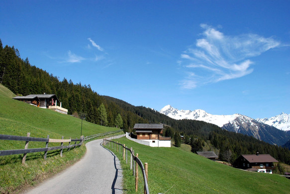 DSC_0909.jpg