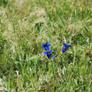 DSC_0969.jpg