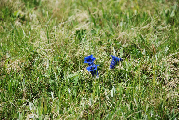 DSC_0969.jpg