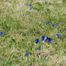 DSC_0970.jpg