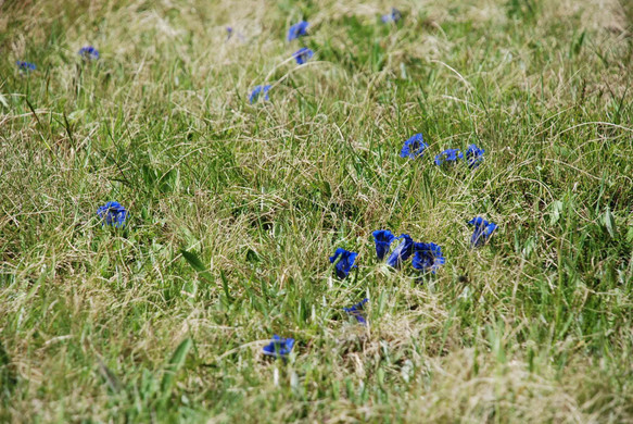 DSC_0970.jpg