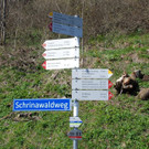 DSC_0971.jpg