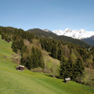 DSC_0975.jpg