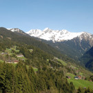 DSC_0979.jpg