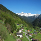 DSC_0998.jpg