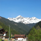 DSC_1008.jpg