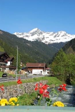 DSC_1008.jpg