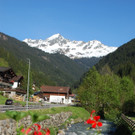 DSC_1009.jpg
