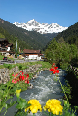 DSC_1009.jpg
