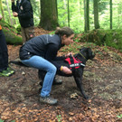 Rettungshunde in Action