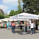 IMG_6084.JPG
