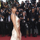 France_Cannes_2017_Opening_Ceremony_Red_Carpet_86761.jpg