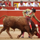 dc1-5q3kx2xf0tj19lk69ao0_original.jpg