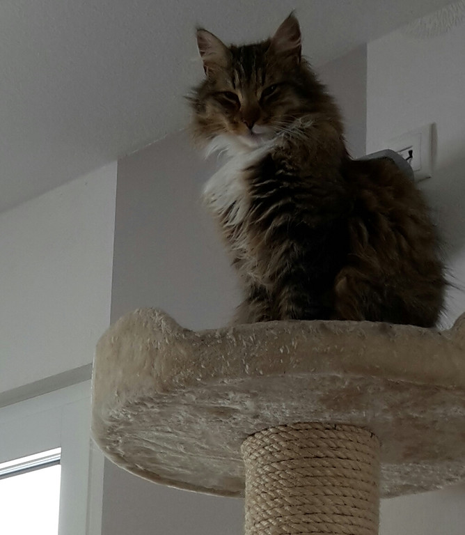 20170428_133550-1.jpg
