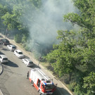 50m² Gestrüpp in Brand