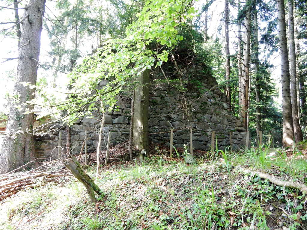 DSCN1317.JPG