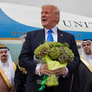 AFP_OM7WA.jpg