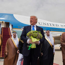 AFP_OM7PN.jpg
