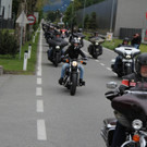 IMG_5291.JPG
